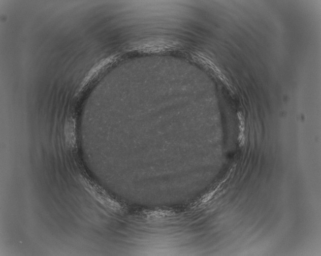 X0000067870400200605111805