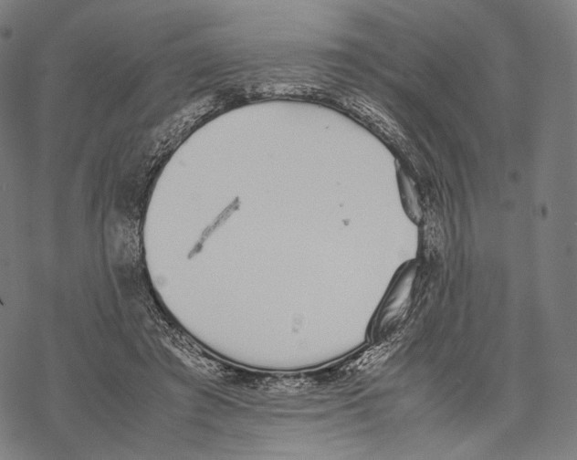 X0000067870401200605111805