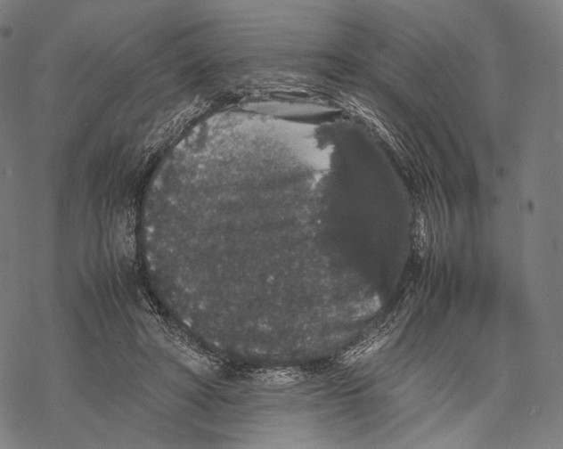 X0000067870402200605111805