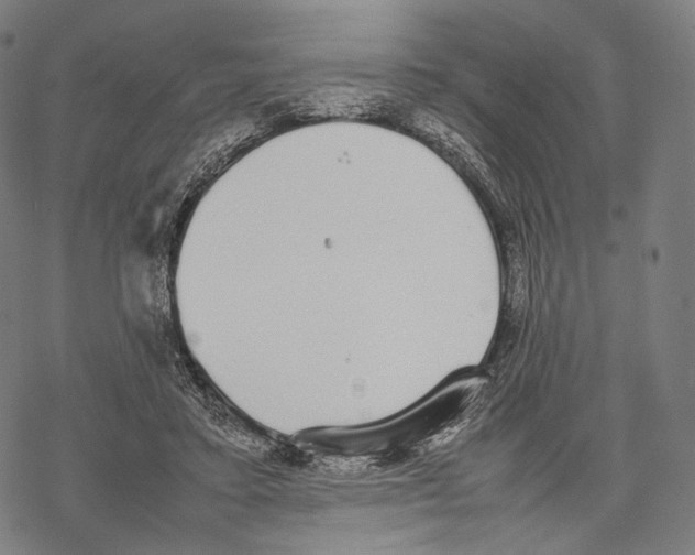 X0000067870403200605111805