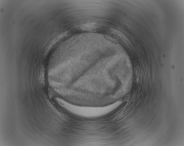 X0000067870404200605111805