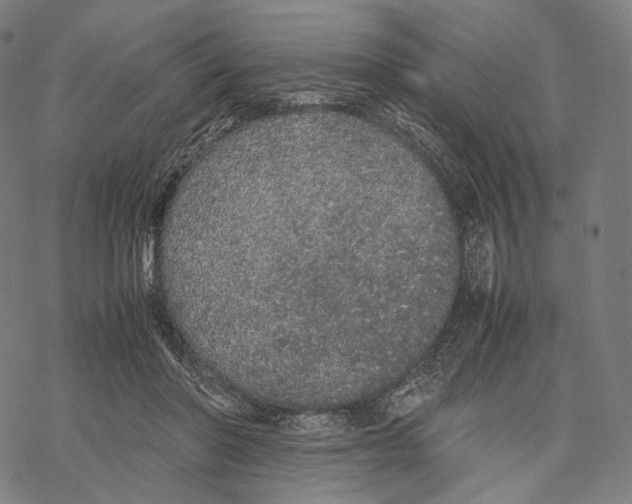 X0000067870406200605111805