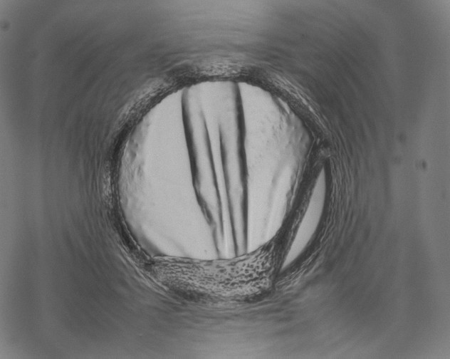 X0000067870407200605111805