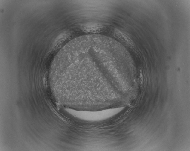 X0000067870408200605111804