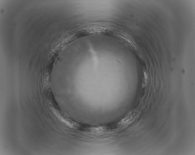 X0000067870411200605111804