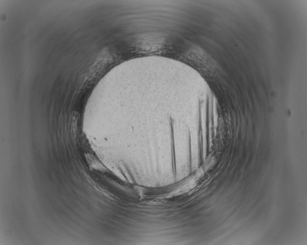 X0000067870412200605111804