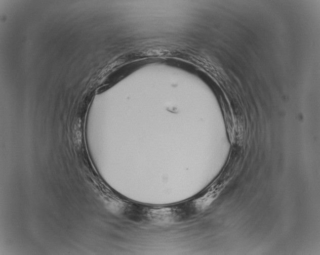 X0000067870413200605111804