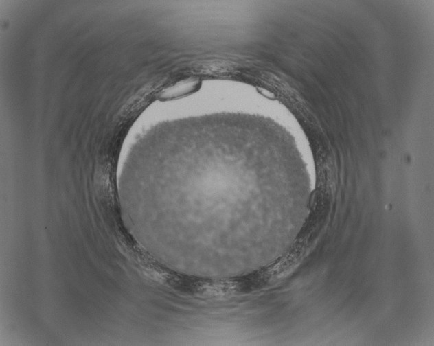 X0000067870415200605111804