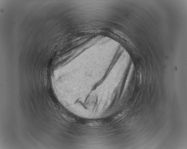 X0000067870416200605111804