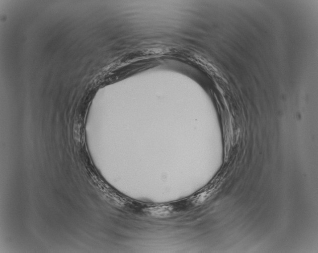 X0000067870417200605111804