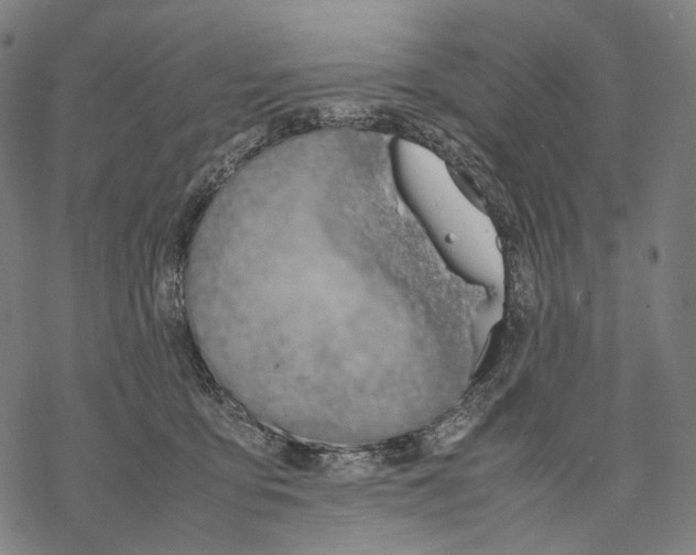 X0000067870419200605111804