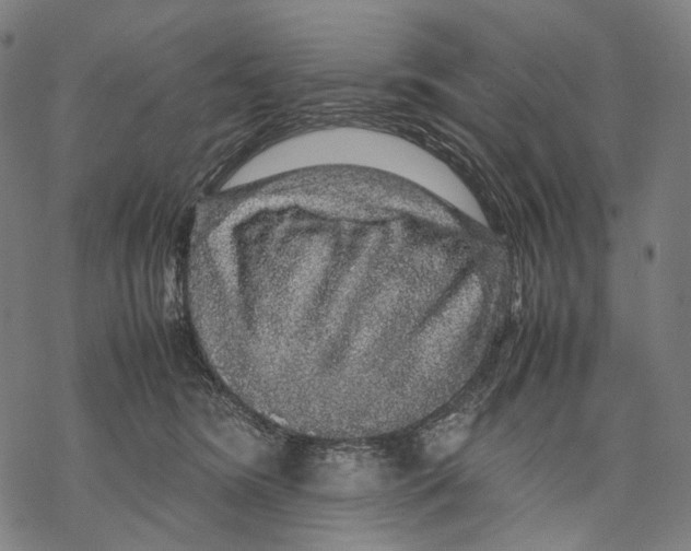 X0000067870420200605111804