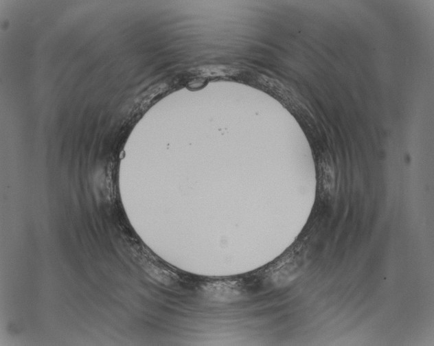 X0000067870422200605111804