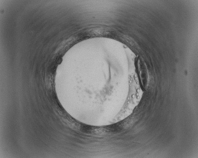 X0000067870423200605111804