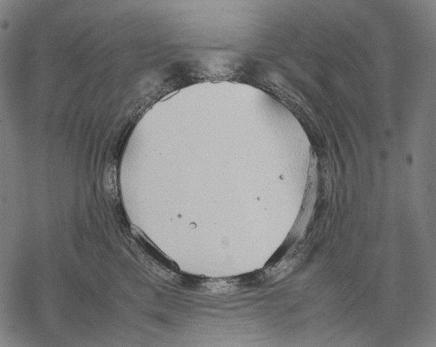 X0000067870425200605111804