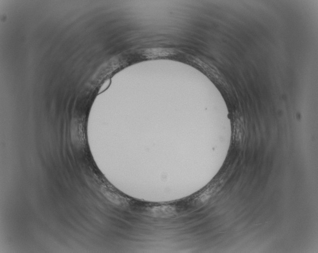 X0000067870426200605111804