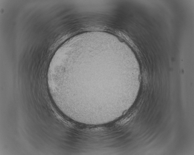 X0000067870433200605111803