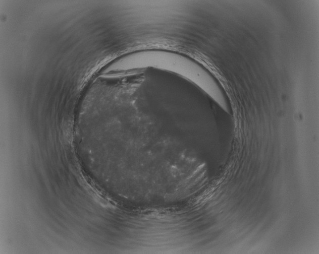 X0000067870434200605111803