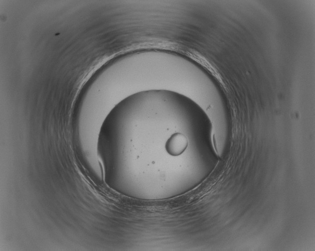 X0000067870436200605111803