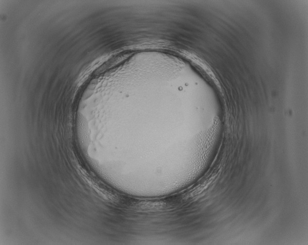 X0000067870437200605111803