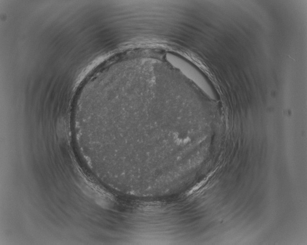 X0000067870438200605111803