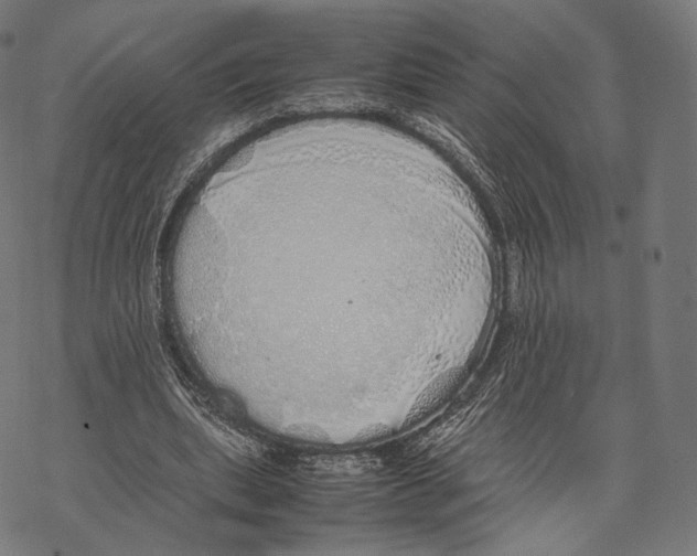 X0000067870439200605111803