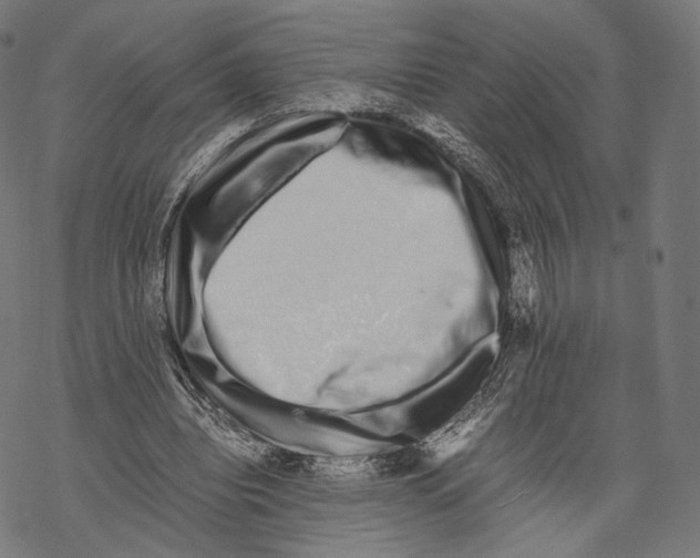 X0000067870440200605111803