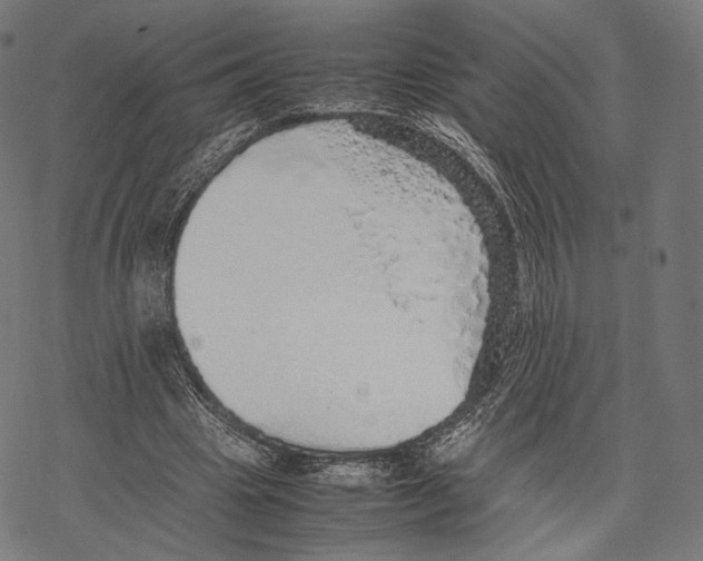 X0000067870441200605111803