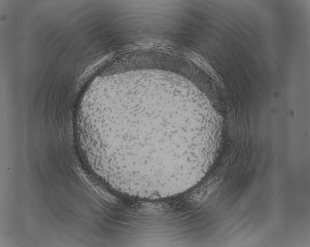 X0000067870442200605111803