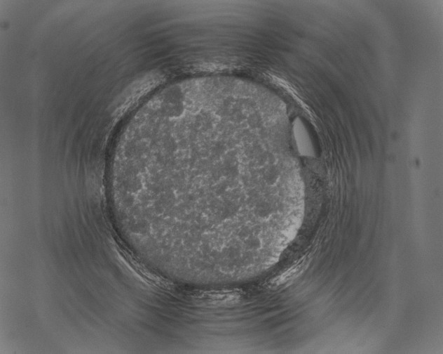 X0000067870443200605111803