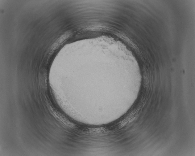 X0000067870446200605111804