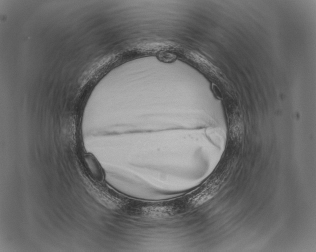 X0000067870448200605111804