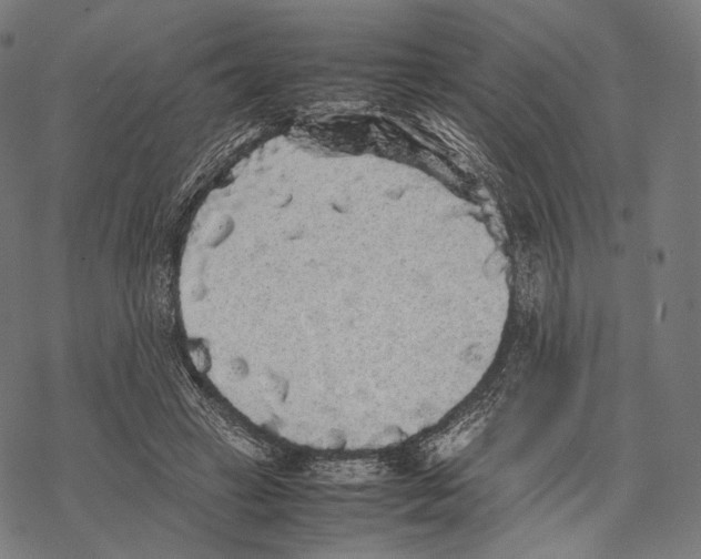 X0000067870449200605111804