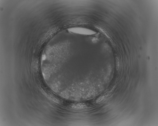 X0000067870451200605111804