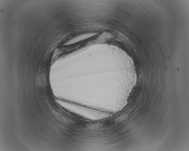 X0000067870452200605111804