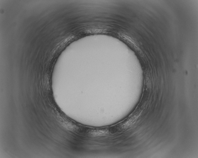 X0000067870453200605111804