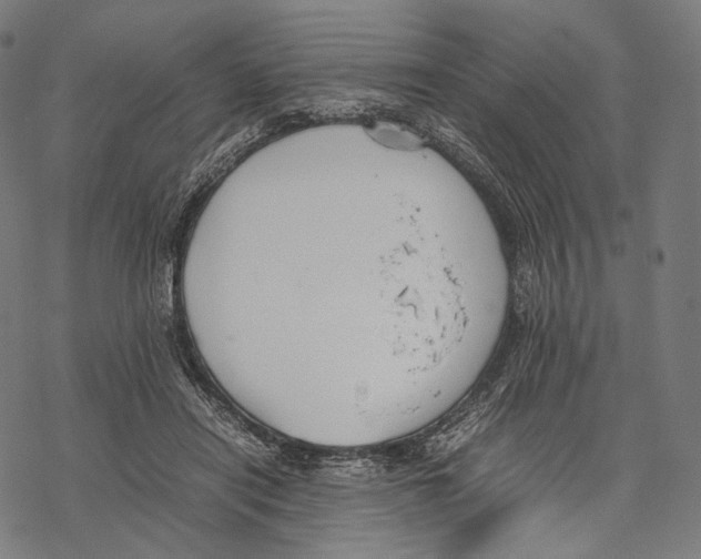 X0000067870454200605111804