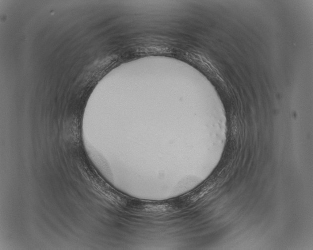 X0000067870457200605111804