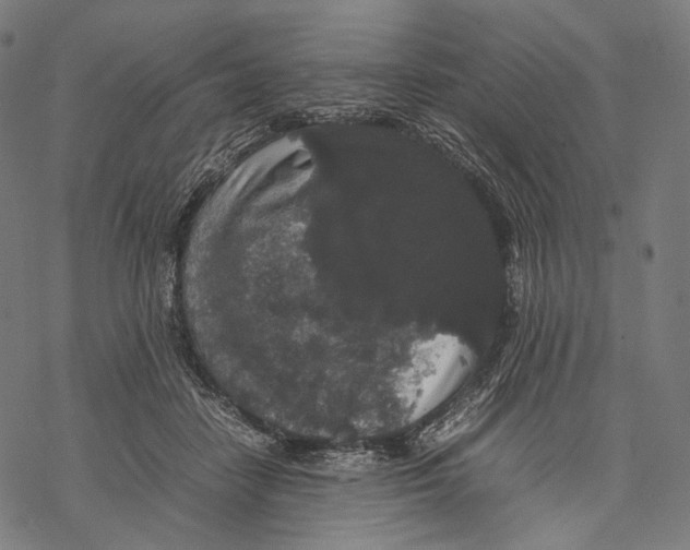 X0000067870458200605111804