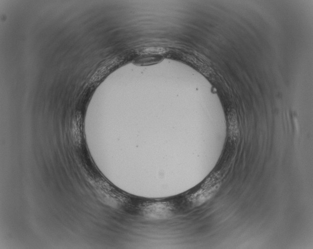 X0000067870460200605111804