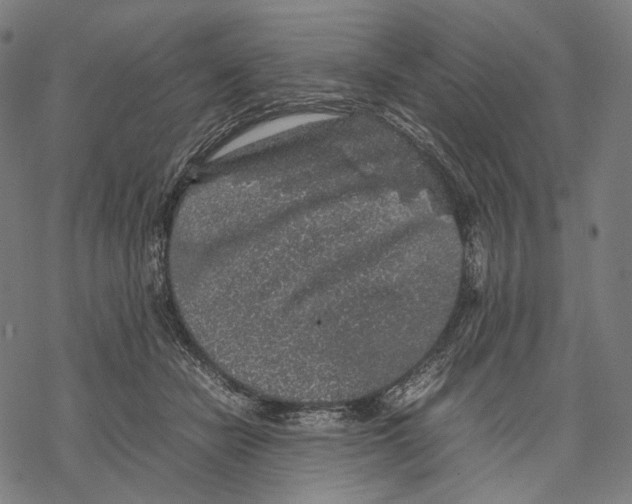 X0000067870462200605111804