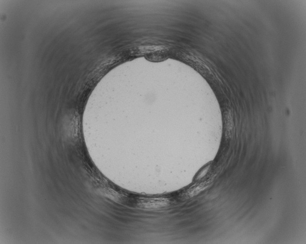 X0000067870463200605111804