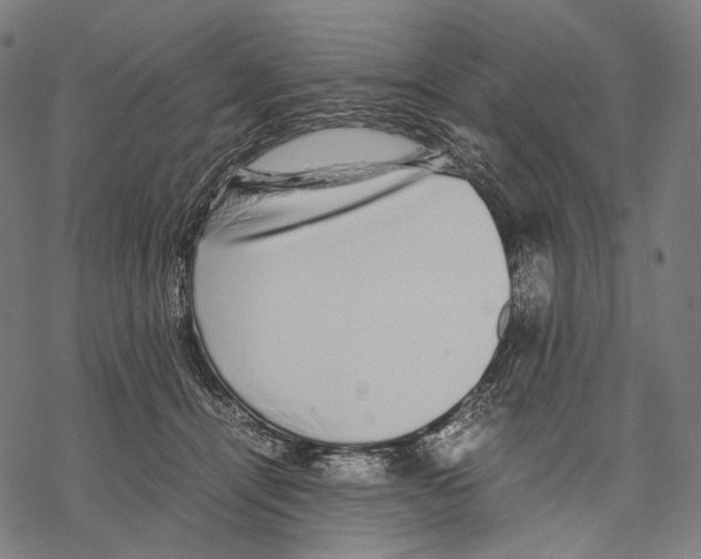 X0000067870464200605111804