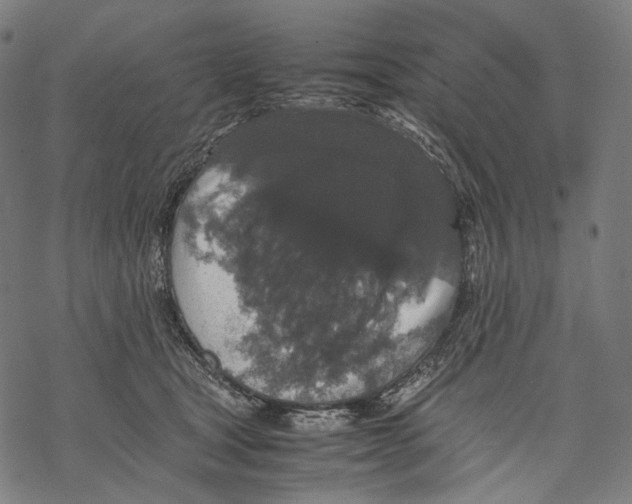 X0000067870465200605111804