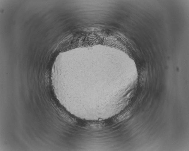 X0000067870466200605111804