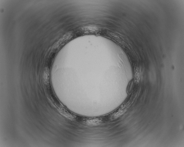 X0000067870468200605111804