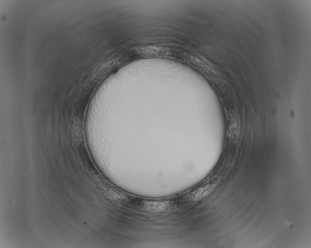 X0000067870469200605111804