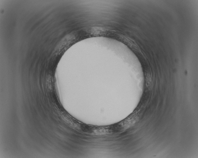 X0000067870470200605111804