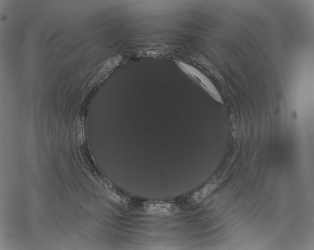 X0000067870471200605111804