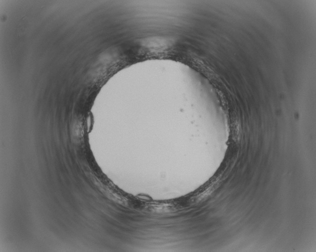 X0000067870472200605111804